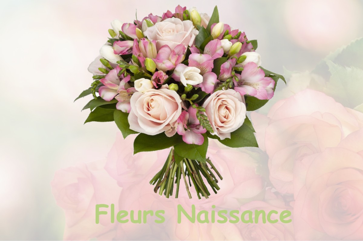 fleurs naissance FLAIGNES-HAVYS